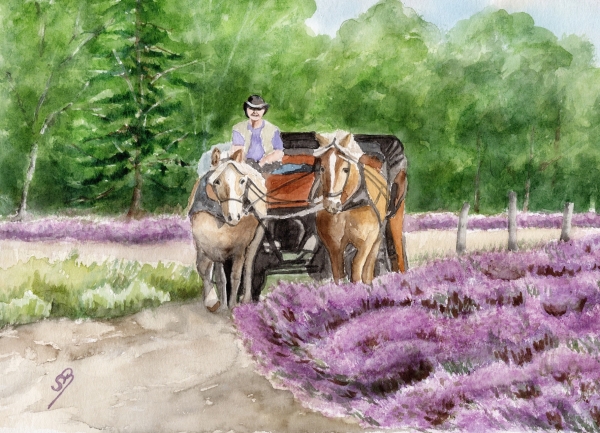 Postkarte DIN-A5   Aquarell Kunst Druck Kunstdruck Lüneburger Heide Lüneburg Landschaft Kutsche Kutschfahrt